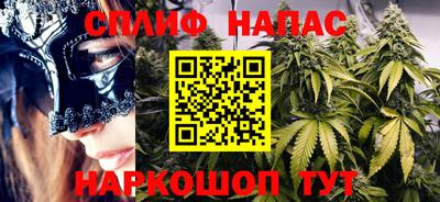 гашик Донской