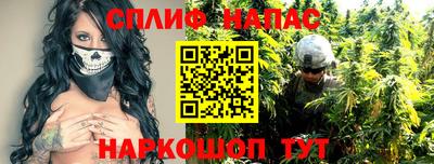 гашик Донской