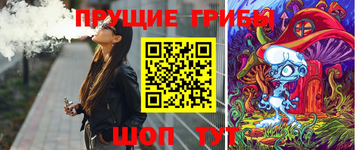 Малгобек  Галлюциногенные грибы Psilocybine cubensis  Вход с VPN 
